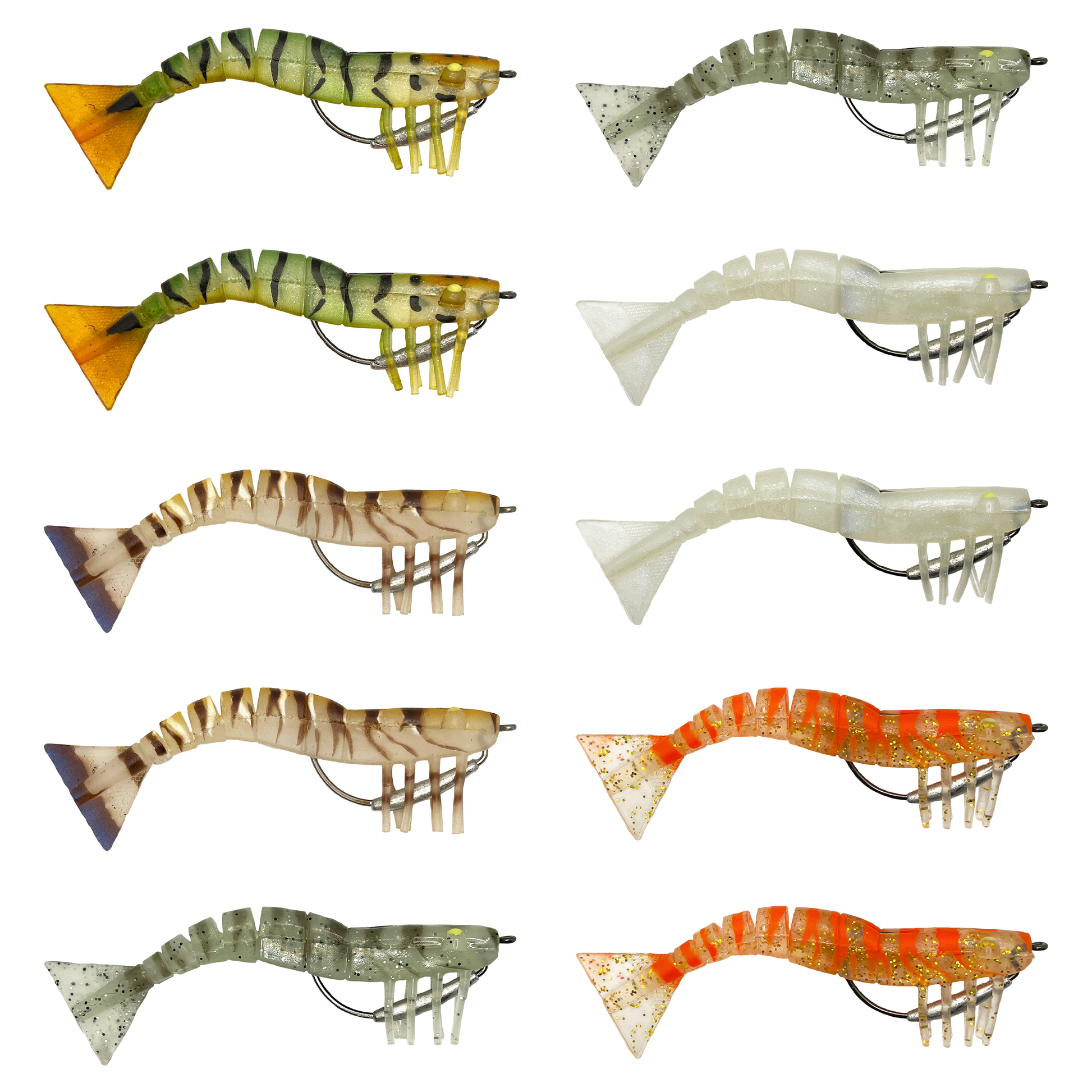 120mm Lively Prawn Ten Pack - Mixed (Includes UV) image