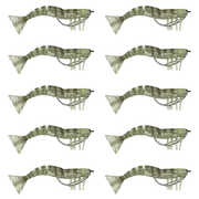 120mm Lively Prawn Ten Pack - Smoky Ghost UV