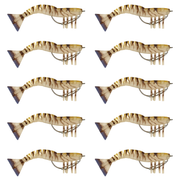 120mm Lively Prawn Ten Pack - Tiger Stripes