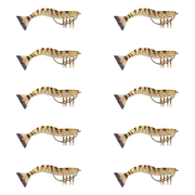 90mm Lively Prawn Ten Pack - Tiger Stripes image